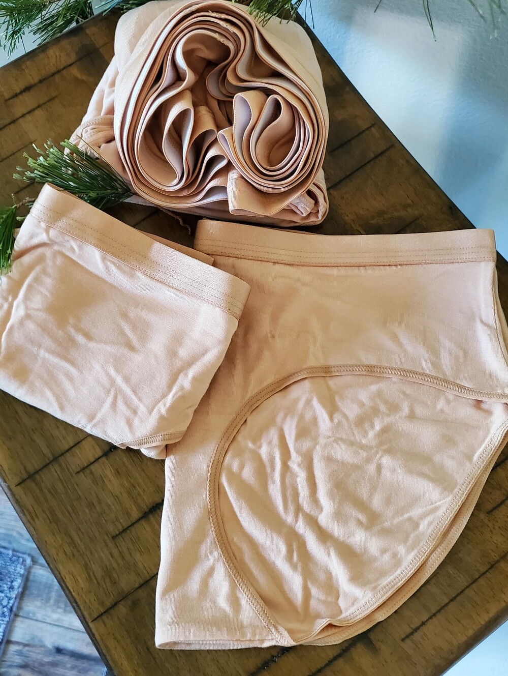 Quince Ultra-Soft Micromodal High-Waisted Brief Underwear 6-Pack New Sand